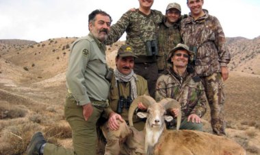 توجیه عجیب رئیس سازمان محیط زیست برای صدور مجوز شکار