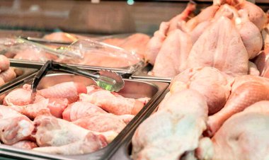 مرغ بالاتر از ۳۱ هزارتومان نخرید!