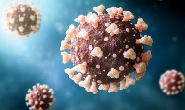 اُمیکرون پنهانکار در سراسر جهان منتشر شده است