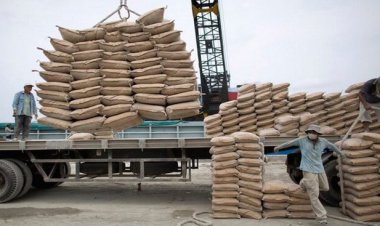 نرخ بارگیری سیمان در گمرک بوشهر شکسته شد