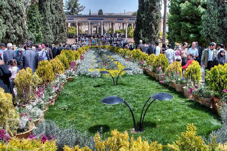 گستراندن فرش گل در استقبال از بهار شیراز