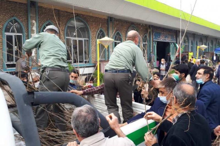 شیرازی‌ها از ایستگاه‌های سبز شهرداری، نهال رایگان بگیرند