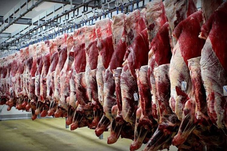 در پی افزایش قیمت گوشت، دولت وارد عمل شد