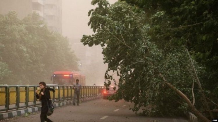 طوفان در تهران باعث افتادن درختان و تیرچراغ برق روی چند خودرو شد