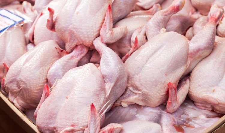 کمبود مرغ در استان خوزستان کشتارگاه‌های طیور را به تعطیلی کشاند