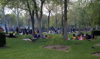 نکات کلیدی زیست‌محیطی درباره سیزده بدر