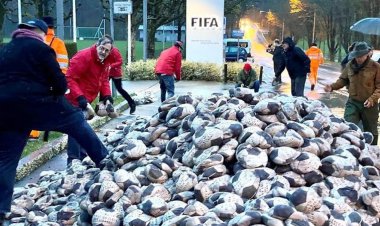 اعتراض عجیب یک هنرمند آلمانی به فیفا