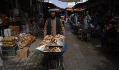 معاون استاندار بوشهر: حضور بی‌قاعده افاغنه در بوشهر نگران کننده است