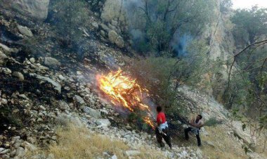 وقوع آتش سوزی در منطقه تنگ خور در لامرد