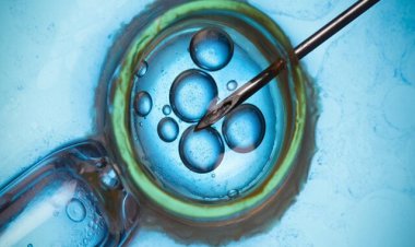 معکوس کردن فرآیند پیری تخمک؛ مادرشدن در 60 سالگی امکان پذیر است؟