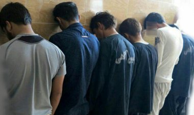ایستگاه آخر باند لیسانسه‌های زورگیر