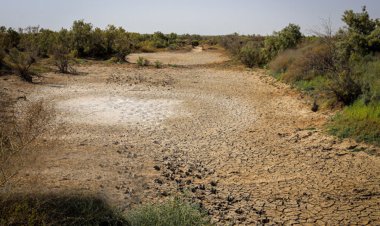 هشدار خشکی کامل تالاب "میانگران" در تابستان امسال