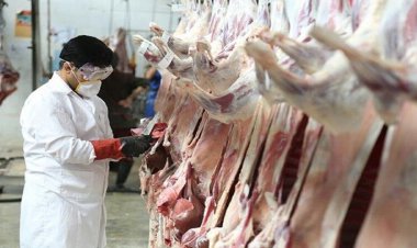 هشدار سازمان دامپزشکی | گوشت قرمز را از مراکز معتبر خریداری کنید