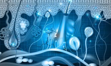 دانشمندان سلول‌های پوست انسان را ۳۰ سال جوان‌تر کردند