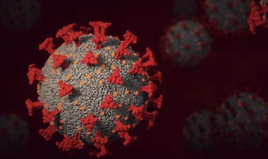 کرونای XE به ایران رسید؟