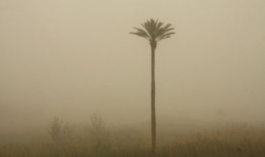 هواشناسی: گرد و غبار دوباره بوشهر را فرا می‌گیرد