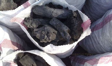 جریمه سنگین قاچاقچی ذغال  در  کهگیلویه