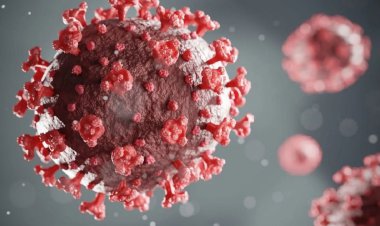 علائم ابتلا به سویه جدید کرونا را با جزئیات بیشتر بشناسید