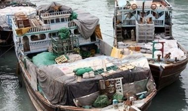 محموله بزرگ قاچاق در دلوار کشف شد