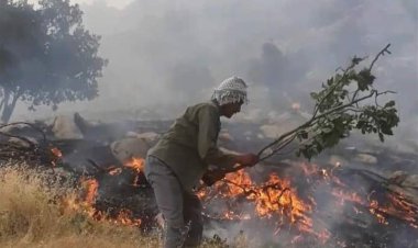 زبانه کشیدن شعله‌های آتش در ارتفاعات کوه دلا اندیکا