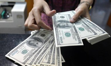 حذف ارز ۴۲۰۰ تومانی از حقوق ورودی کلید خورد