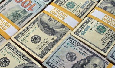 بخشی از منابع ارزی مسدود کشور آزاد می‌شود