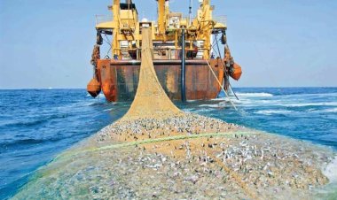 ممنوعیت صید برخی آبزیان در آب‌های هرمزگان