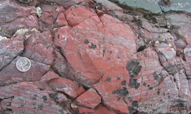 کشفی که وجود حیات فرازمینی را تأیید می‌کند!