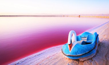 دریاچه آسیب پذیر و آسیب زا؛ مهارلوی صورتی