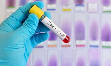 هشدار دانشمندان: مراقب ویروس زیکا باشید!