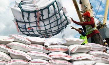 ورود ۸۰ هزار تن برنج به کشور