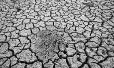 خسارت ۸۰ درصدی به اراضی دیم تحفه خشکسالی بی سابقه در خوزستان