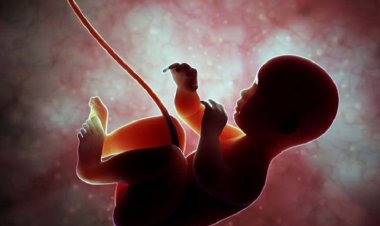 غربالگری جنین در ایران ممنوع شده است؟