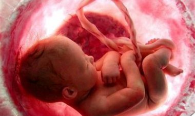 چرا غربالگری جنین نباید حذف شود؟