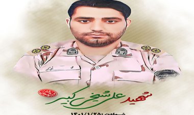مامور مرزبانی در زابل به شهادت رسید