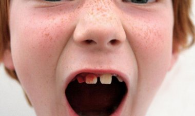 مشتی که دندا‌ن‌ را خرد کند چقدر آب می‌‌خورد؟