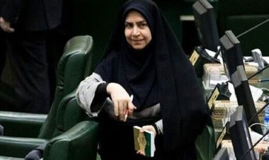 جزئیات دستگیری برادر یک نماینده