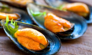 ورود میکروپلاستیک‌ها به زنجیره‌ غذایی