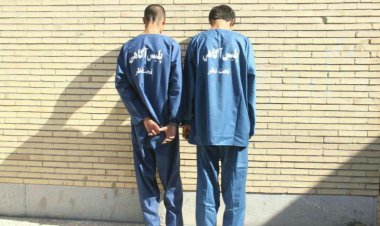 بیشتر چه چیزی سرقت می‌شود؟