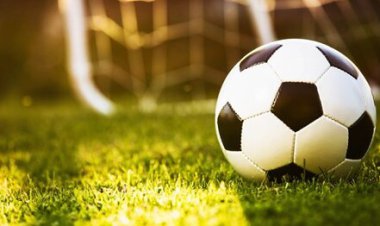 احضار یک دروازه‌بان و ناظر به حراست فدراسیون