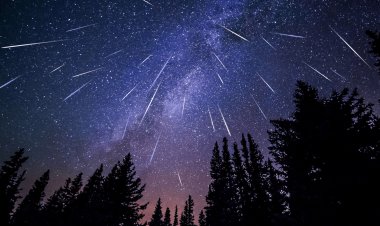 بارش شهابی امشب را از دست ندهید