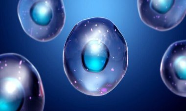 خلق سلول‌های بنیادی انسان توسط دانشمندان چینی