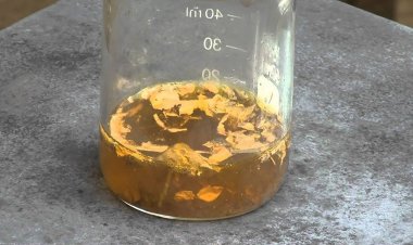 ببینید | حل شدن صد گرم طلای خالص در اسید