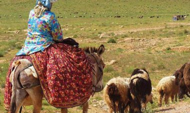 چالش‌های عشایر فارس در مسیر ناهموار کوچ بهاره