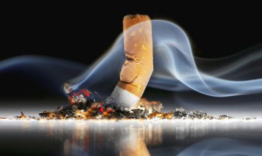 ته‌ سیگار یک نفر را کشت!