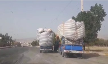 تاراج اندوخته‌های دامی خوزستان
