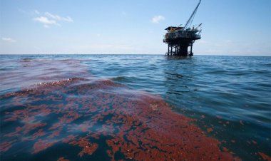 آلودگی‌های نفتی، مهم‎ترین چالش خلیج فارس