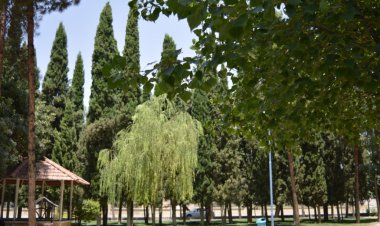 7 اردیبهشت، روز سرزمین سروهای فارس