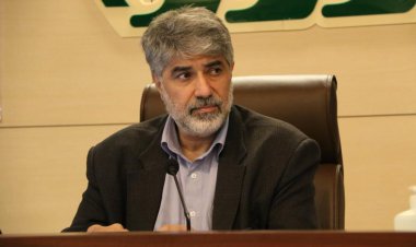 ایجاد کمیته ورزش در شورای شهر  شیراز