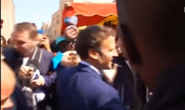 استقبال ویژه همراه با گوجه  از پیروز انتخابات فرانسه!